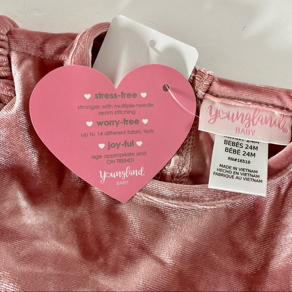 Toddler Girl Youngland Velvet Pleated Skirt Dress - Picture 14 of 16